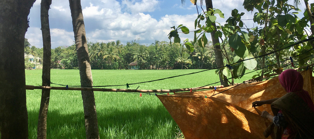 Natural Dye House In The Jungle